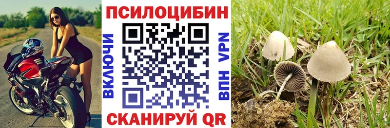 Псилоцибиновые грибы Psilocybe  купить наркоту  omg рабочий сайт  Уварово 